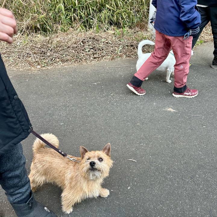 353e2eae c0cc 4677 bc69 71d075252785 1739681150337