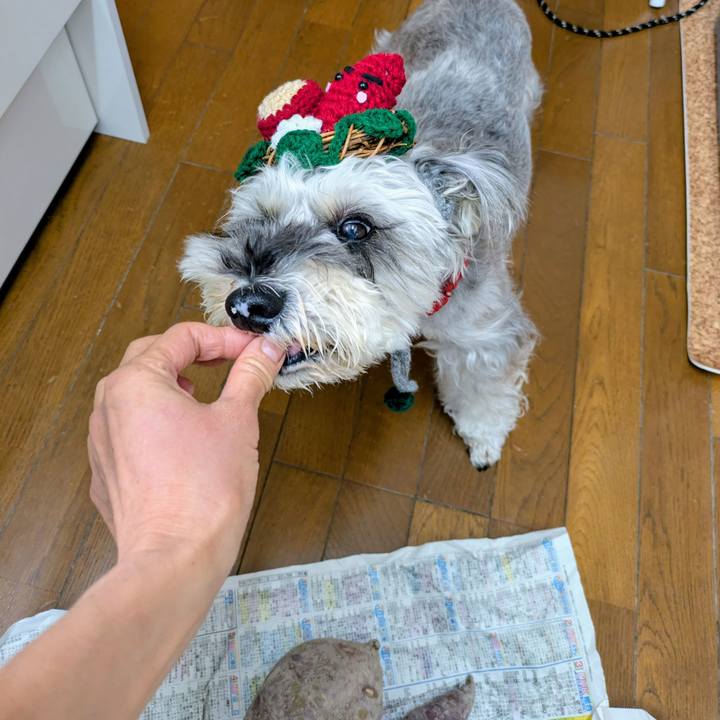 353e3585 8918 4e4d ad77 bc0428a2c564 1762651562262