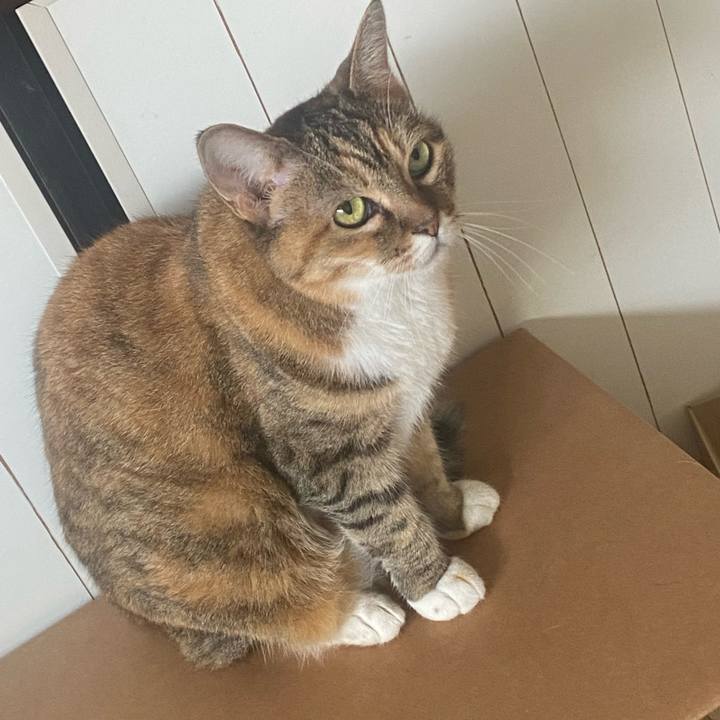 353e3a57 fd80 425d ad0c 87b9286c82d5 1723595805895