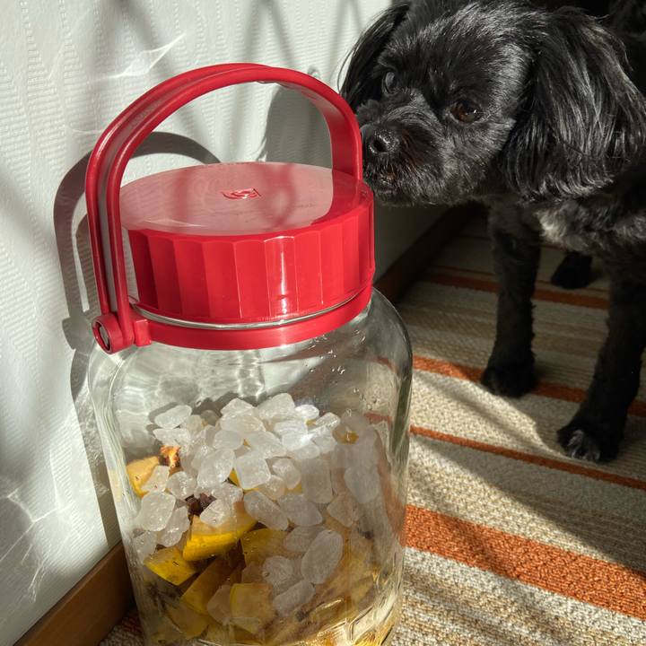 353e4307 579e 466f ba70 55b35727912f 1576127944904