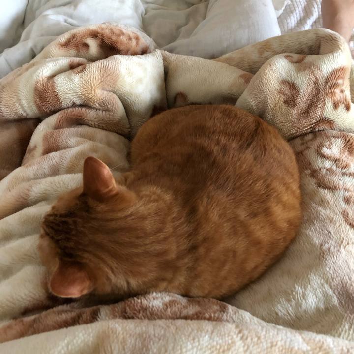 353e547d d766 43d5 8dcc 8723179582a2 1590178760079