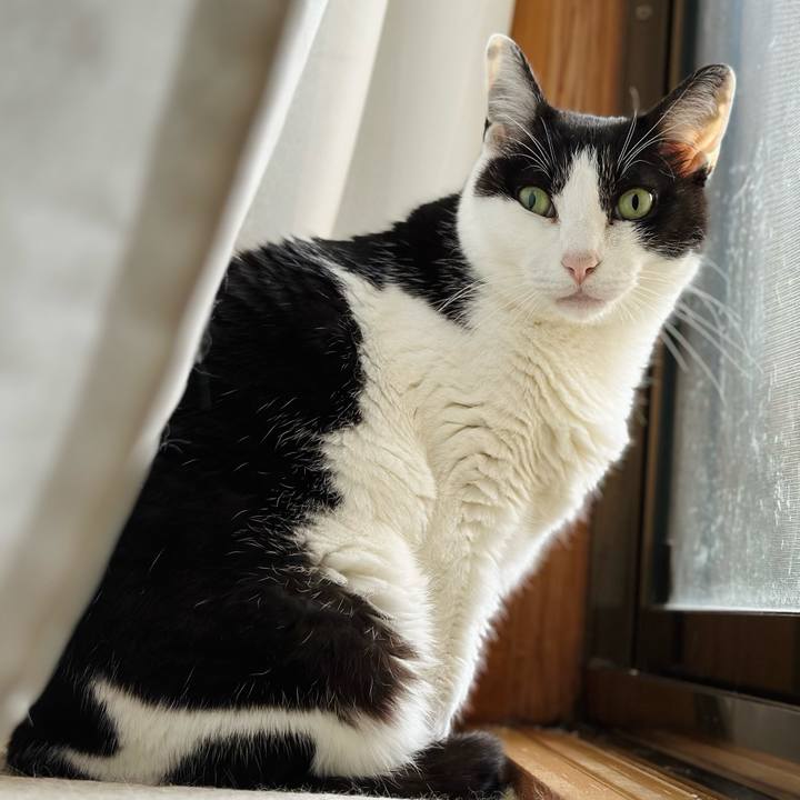 353e8335 9413 468e a91f 3564f2a7117f 1719104788722