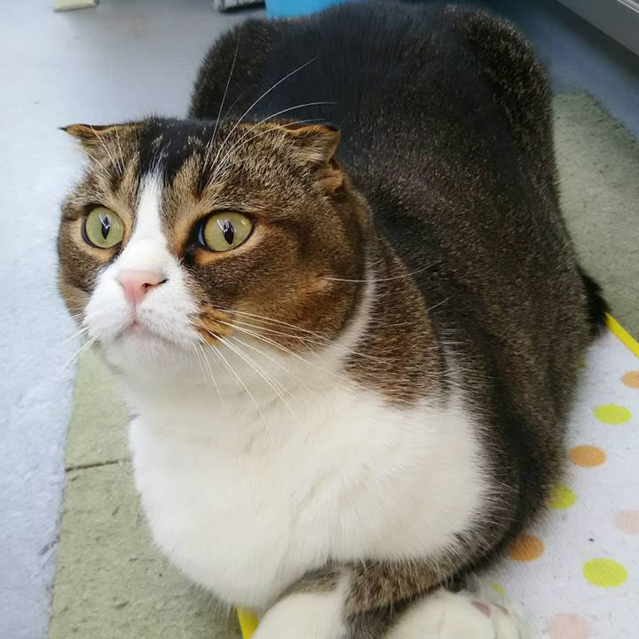 353f4083 5b36 4b3e 8273 440f7b081eb8 1521935478474