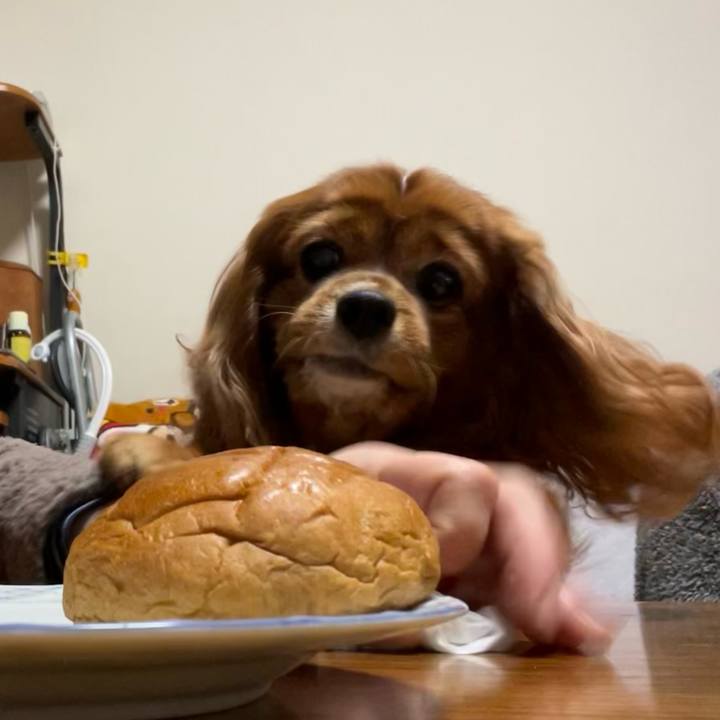 353f6d76 848b 4b24 8a1e 8bdc356854f5 1674166383669