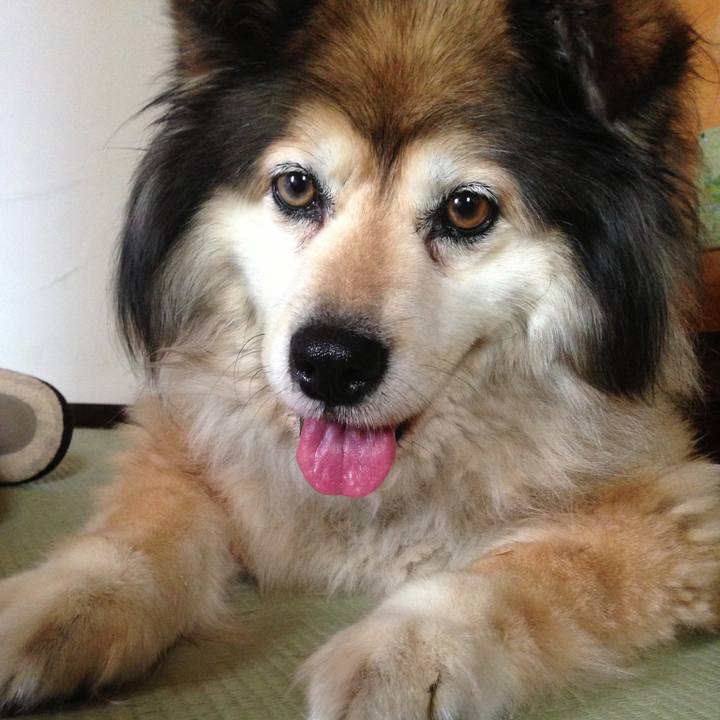 353f8613 e69e 4634 b78b 1fecd4864c70 1602812015243