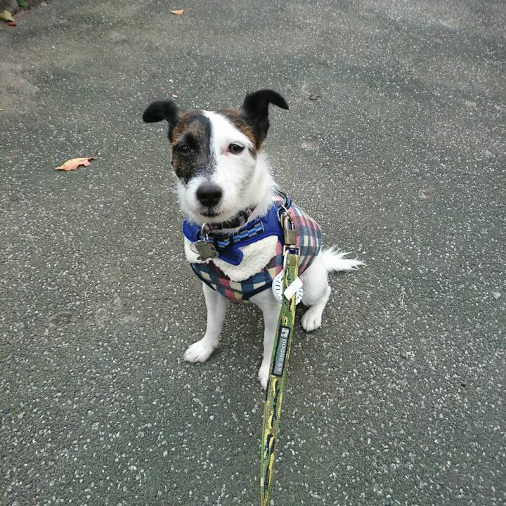 353f87be 604e 4ec6 9031 a8166a9ad527 1509488325426