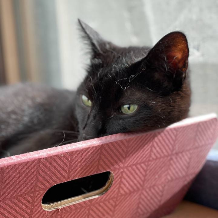 353fbaf3 e9e5 4609 800c a94938c1b51d 1628210647081