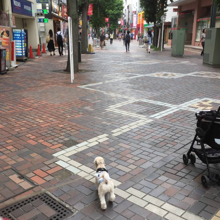 353fd422 6d5d 4015 ace7 67caabe9eaeb 1535795116108