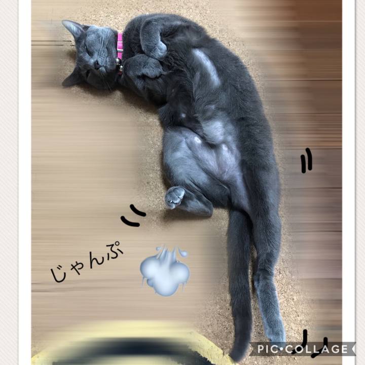 353fdd73 994e 4f20 90ce 012d26d3c19d 1524554412568