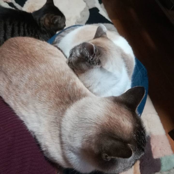 35402caf eafd 40c3 a03a 78525ff44433 1553253909031