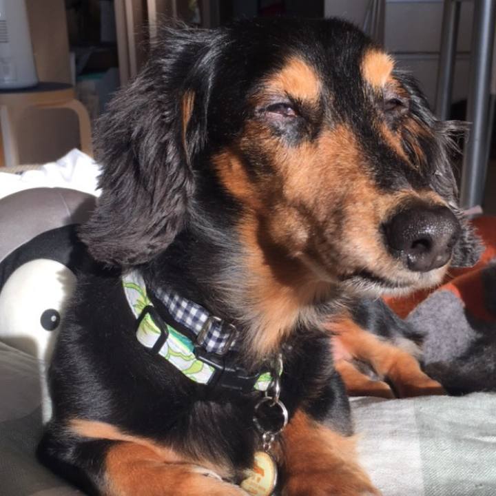 35403e7b ad64 4ddc 9450 cfb814e6735b 1514351488345