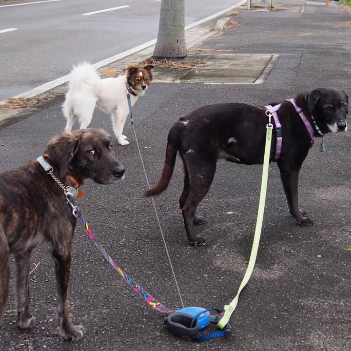 354072da f3f5 41c8 b1f6 7e4ef369ed85 1546320151775