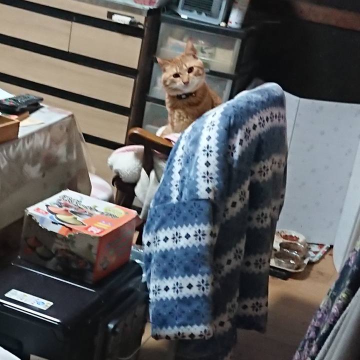 35407851 4ab0 48fc a9e5 d75b26c6a9f2 1645870442732