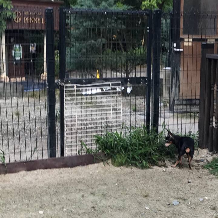 35408e78 889b 4697 837d 7a7c65de85e1 1537191502248