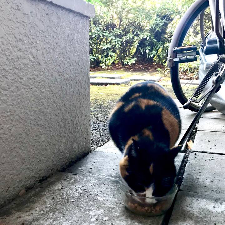 3540dc6b 85bd 4121 bfd4 c88aaf1074af 1516167587705