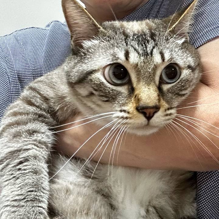 3540efd1 a95a 4ec6 82cc a2ccf5a436fe 1691567419889