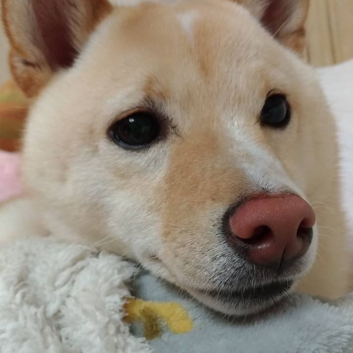 35410289 0048 47a1 9654 37405dd2d1e6 1526041350026