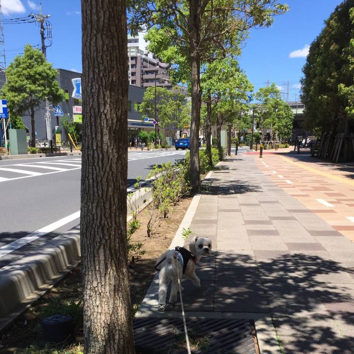 35410c19 57ee 4701 98db c1b70dd45b72 1527158865021