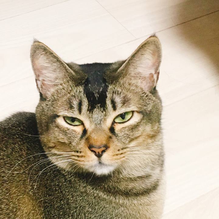 35412d9b cf38 48a3 a53e e1eb7b52608c 1548942369880