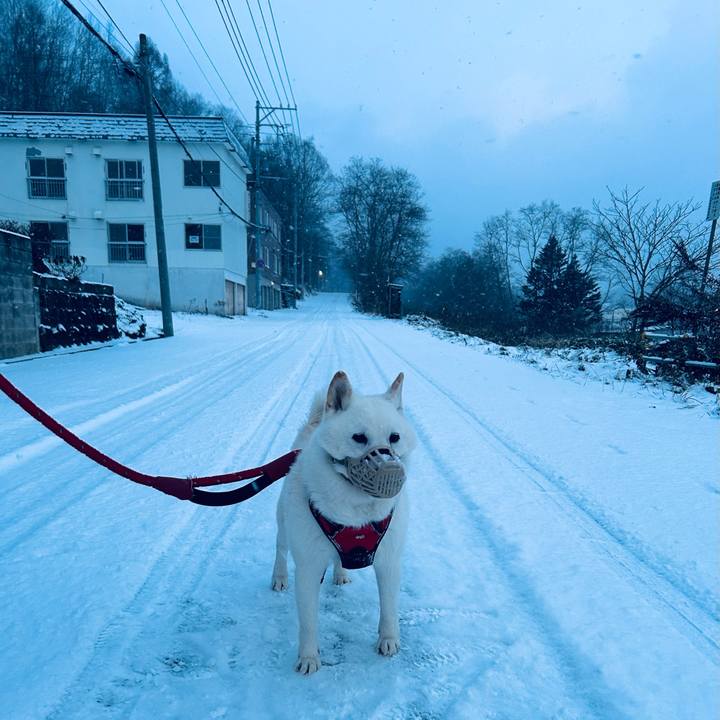 3541395c 95c0 43e6 ba49 73eb80e2fb04 1702248786082