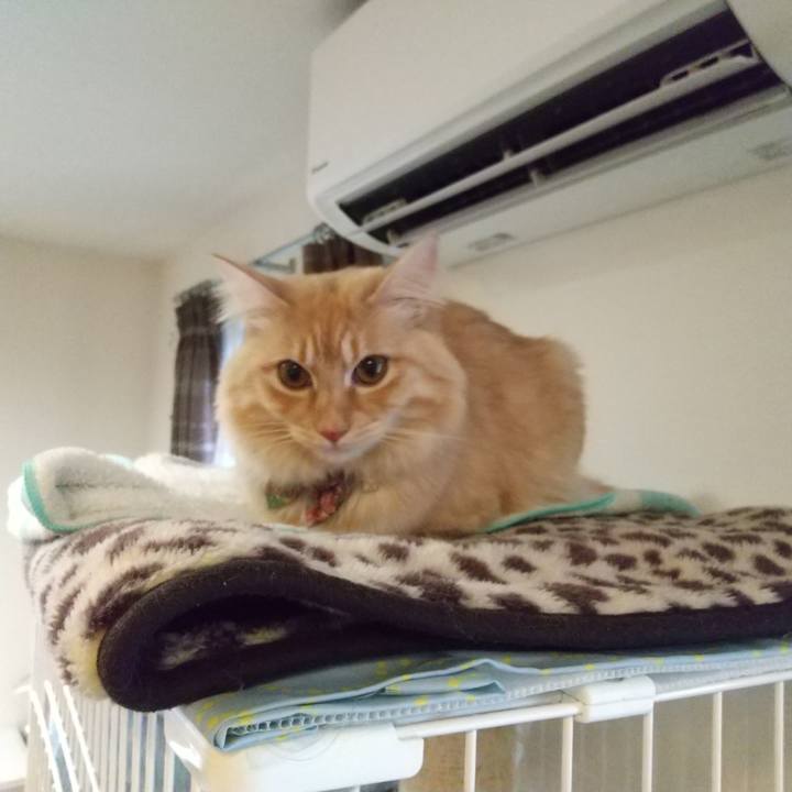 35413bdb 4021 42df 84ba 2b37261939d9 1640730212975