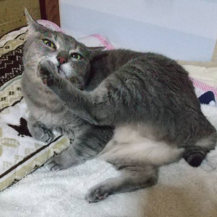 354146c1 9ece 454d 9f57 06b8f04d97b2 1605389644585