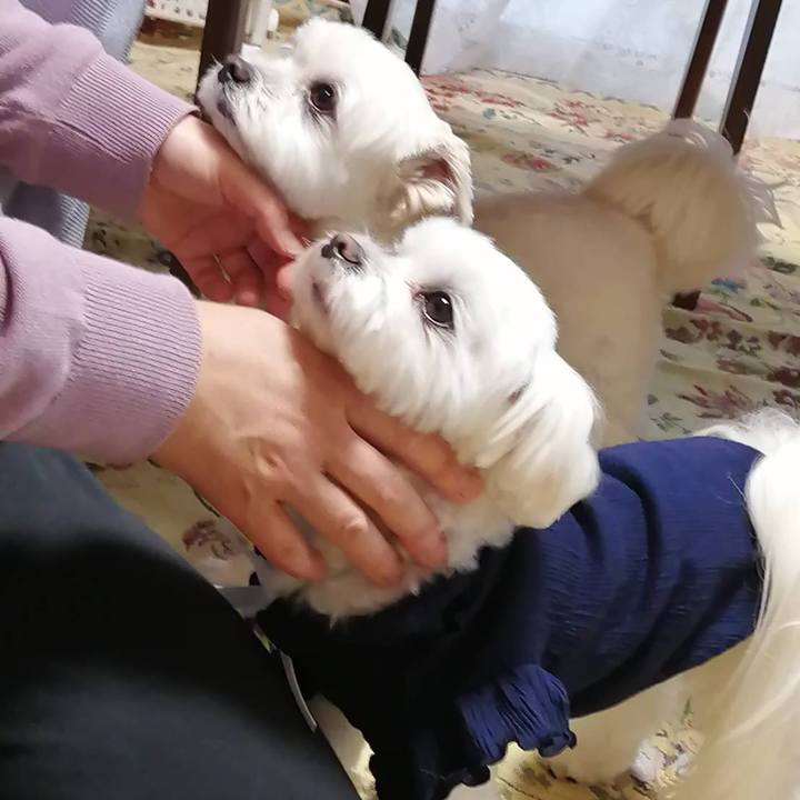 354154c7 6740 4280 818b ce6e9e7916cc 1619858756932