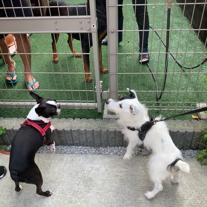 354156d2 fdc6 456f 8466 4411f57f2dca 1727219859228