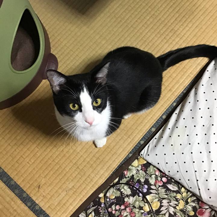 3541597f 9cac 4270 92d4 61b96b7e67ba 1655529183760