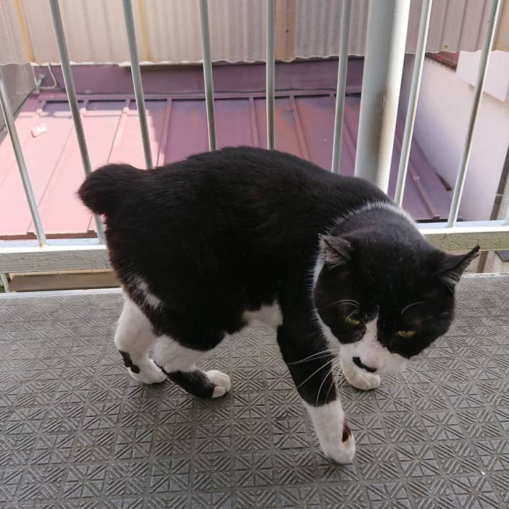 3541a5e0 d9fc 4745 8afb 6c0658f2ffee 1589437309237