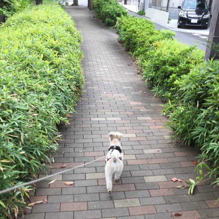 3541a916 d023 468c be8c 94e1da64530f 1537073044976