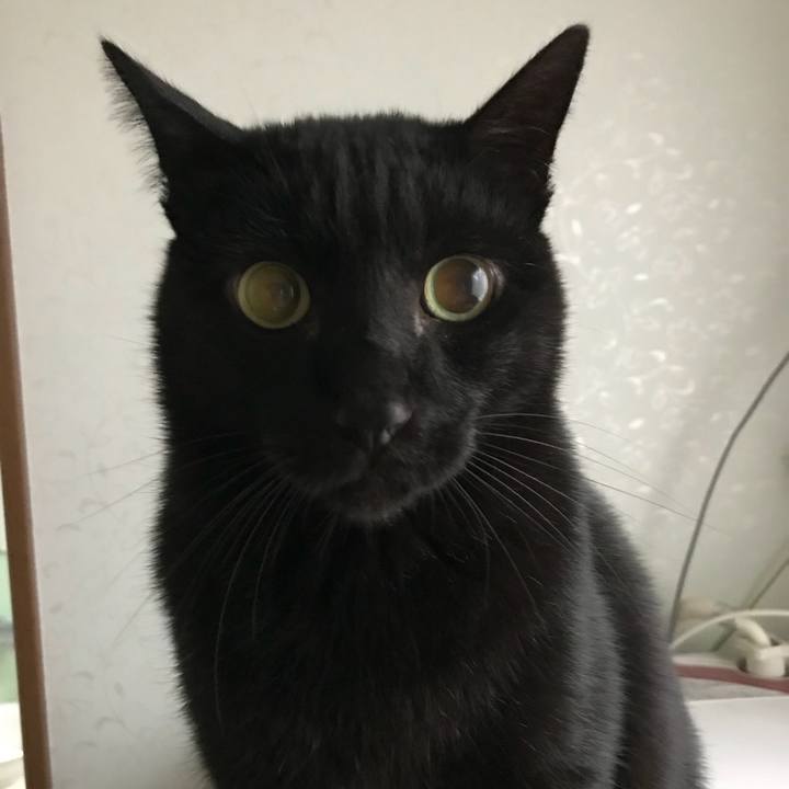 3541c378 f909 4b18 a76f c28597a50f3d 1511226152492