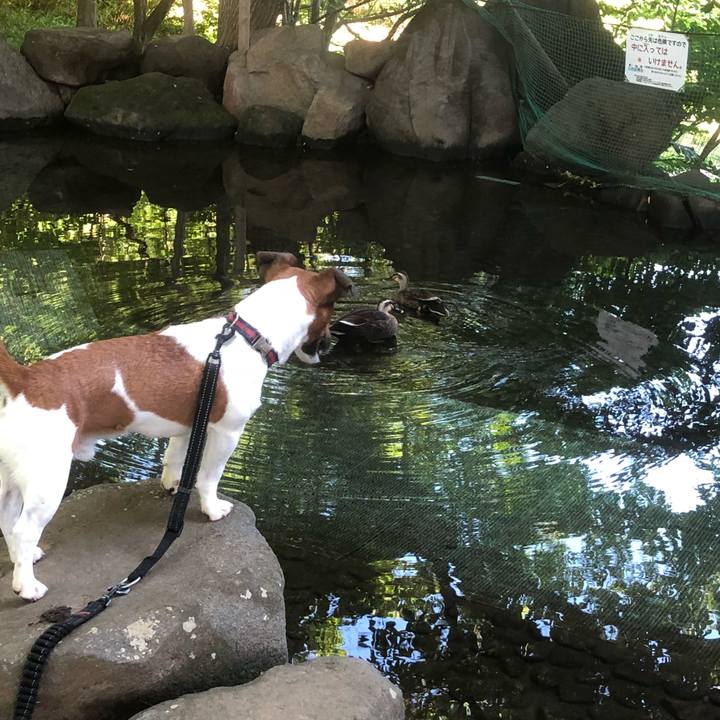 3541c66c 3deb 4e4c 8c03 856a1fc6d8e2 1527806524916