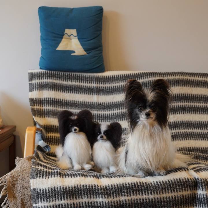 3541ca51 0cd1 4dba aab5 fa18bb3b00c2 1635667873048