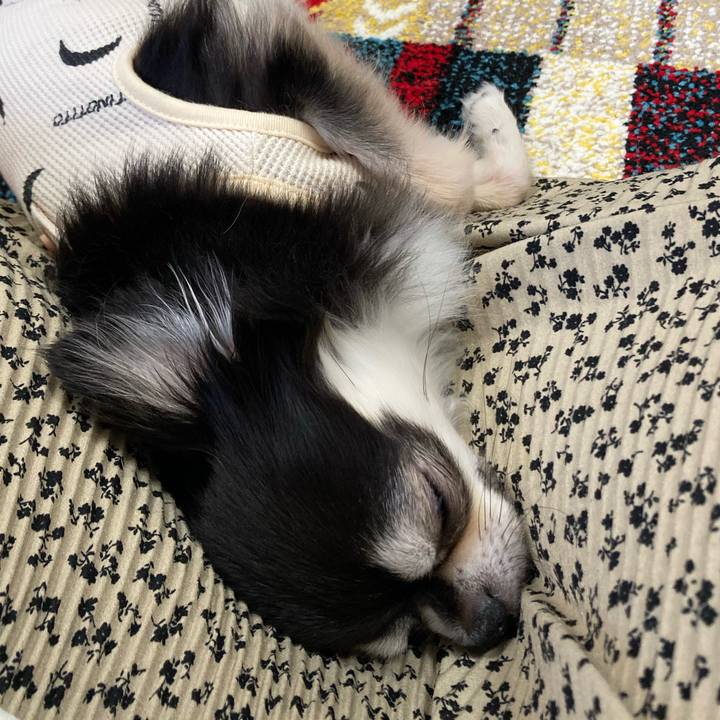 3541e424 804e 4b1b a5b3 c8ea3def18be 1699026055697