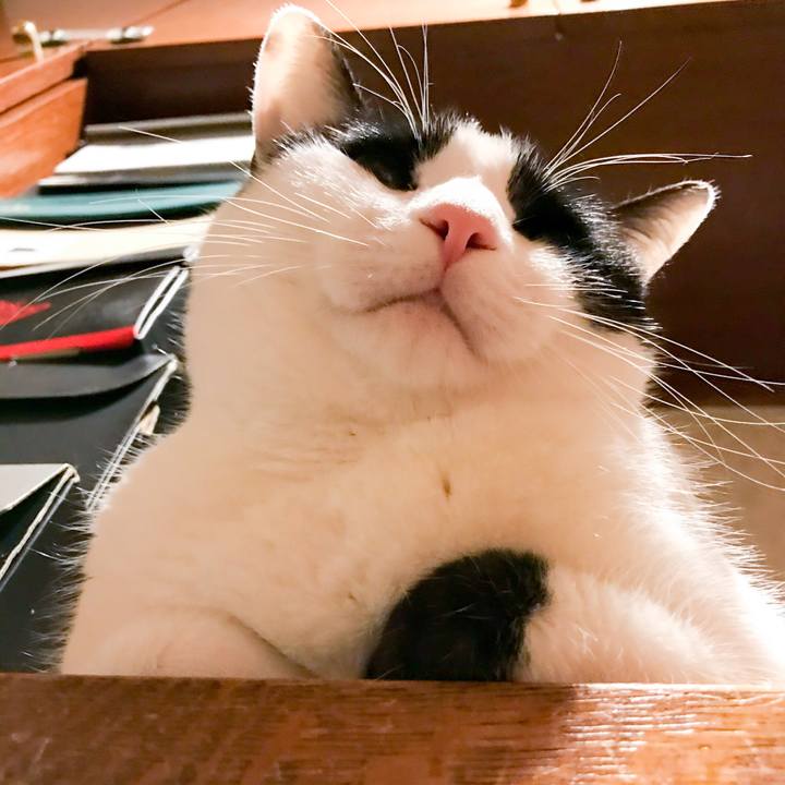 354200e1 4a30 4154 9c51 5792f62b735a 1520645315667