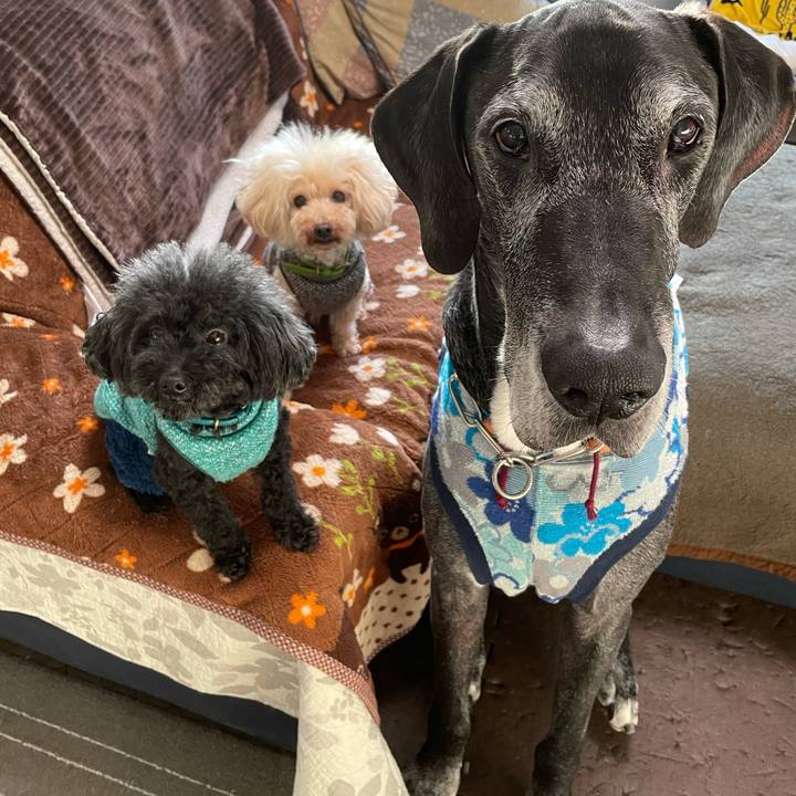 35422a47 98c7 417e aed6 455ec46133aa 1611528143795