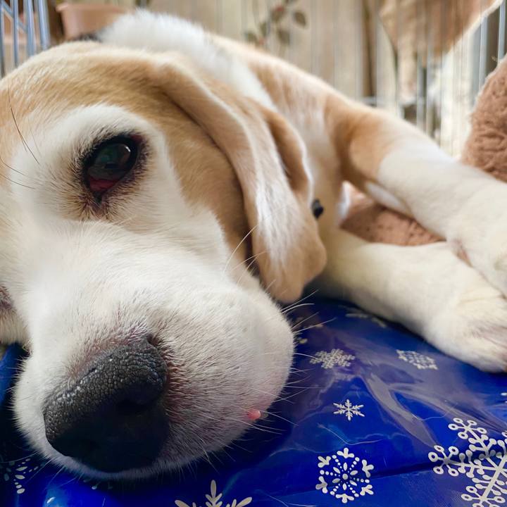 35423fc8 fbf8 4ef4 b91a 52c460b22e4c 1595398974241