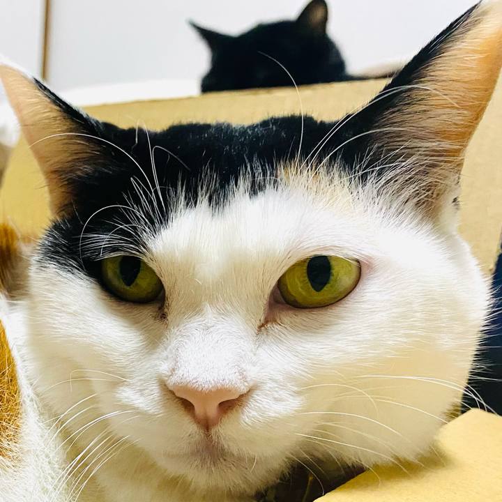 3542800c b128 4949 9562 feffc075dc27 1709562074604