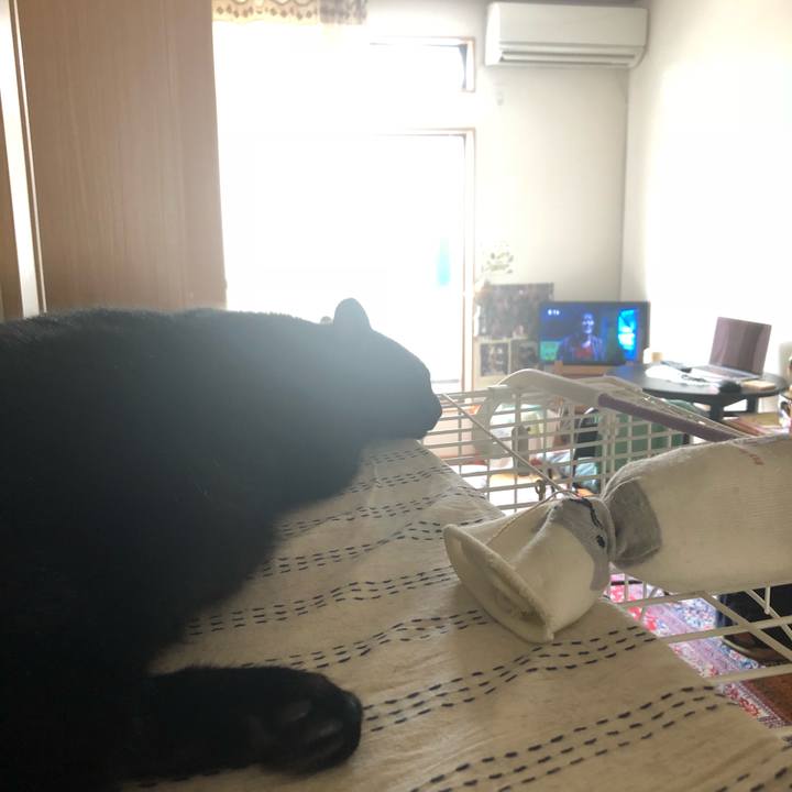 3542ba81 c7fe 4262 8651 edbe8423e25a 1531267799712