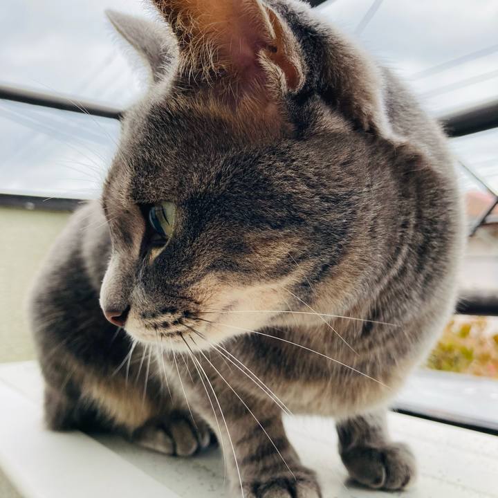 3542dac3 cedd 4248 800b 0d72a649f6d3 1600918202719