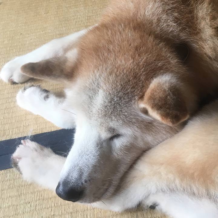 35431a57 44fb 4e2e 96fc 2ffb8cdb8765 1508722612396