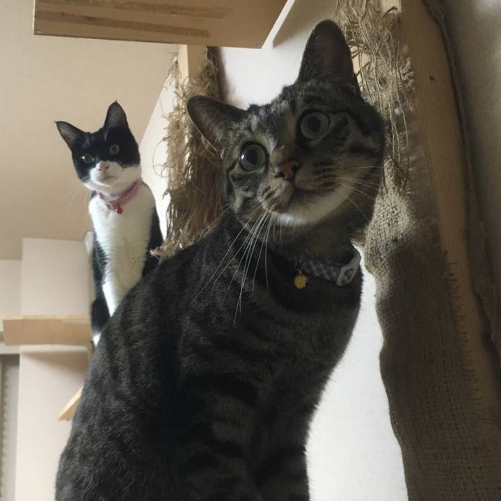 35431c18 e619 4f95 ac31 a7382724c133 1588469510452