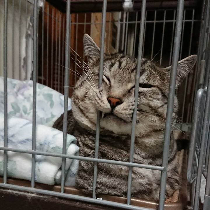 35435be0 545c 4f0c 88f9 f10a251ae29b 1514116361306