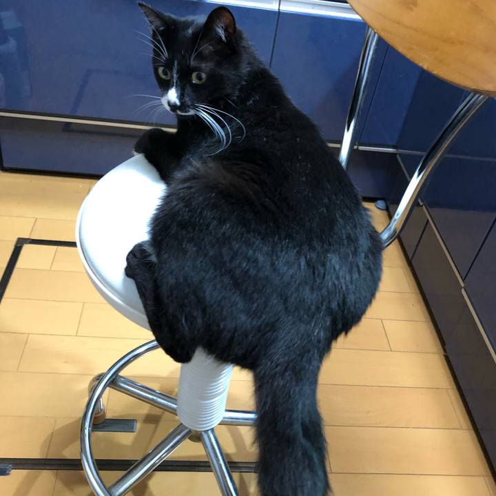 3543aba5 10d2 41fb 9a4c a53032df27c0 1592718708388