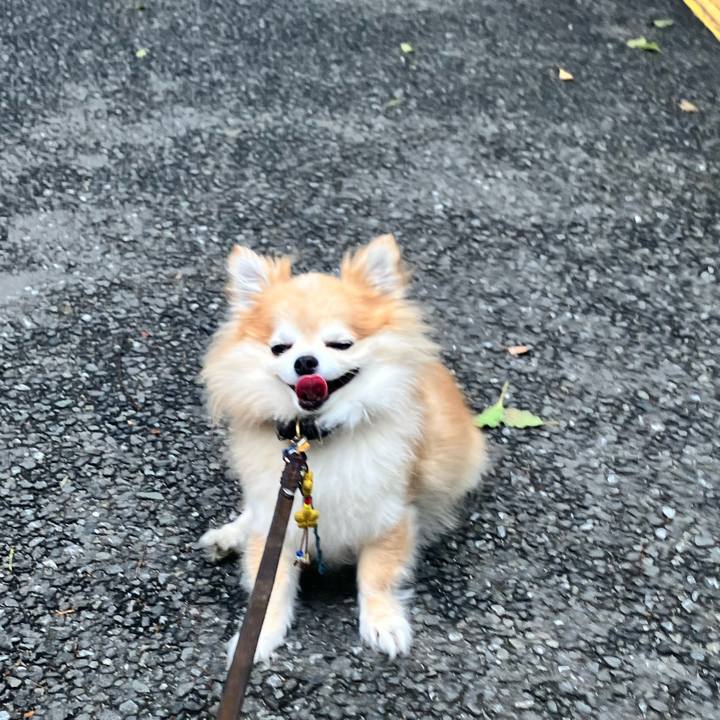 3543bdb2 36d8 44cc af39 4fbed68d1379 1752641416857