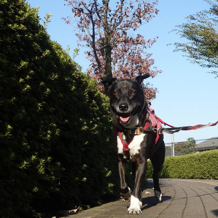 3543be8a ff9d 4ea0 bfa7 8f5a4115bf0d 1698367275452