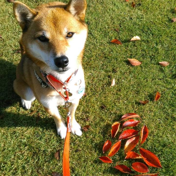 3543d8b7 ad01 46ce bc4b 4e8a31486b99 1508285194658