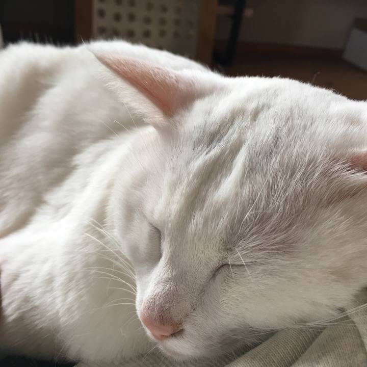 35447536 da5a 438e b6a7 202742b8bcbf 1556675624330