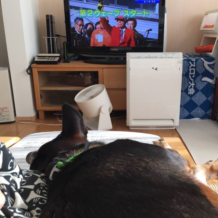 354494c5 259d 4241 9509 3f365d56cc64 1542500607238